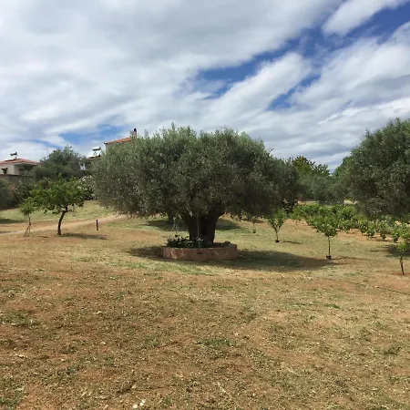εξοχική κατοικία στη χαλκίδας 別荘 ドロシア